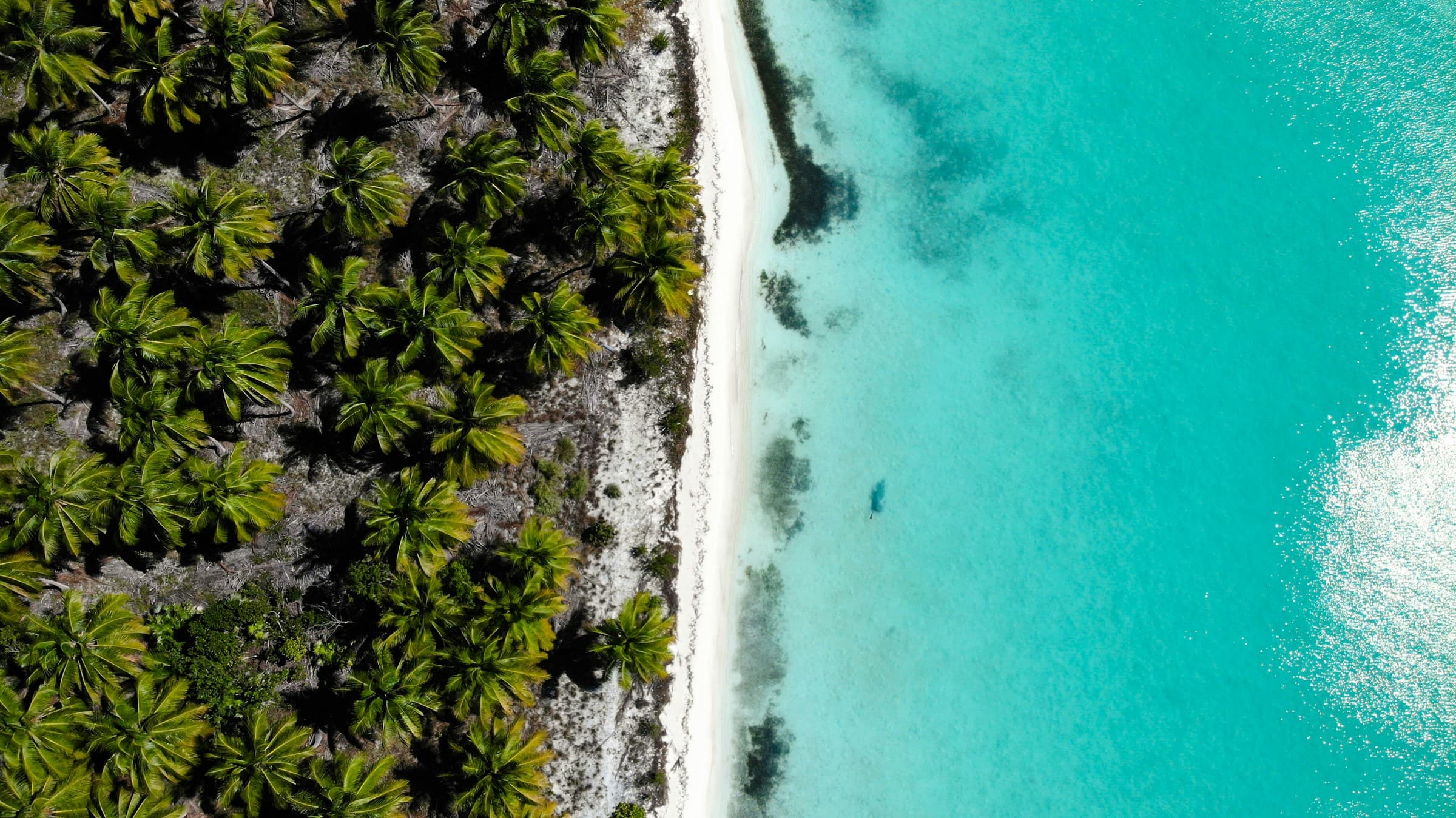 Aerial view of Punta Cana's turquoise coastline
